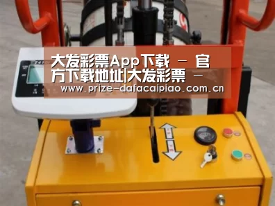 大发彩票app案例展示三