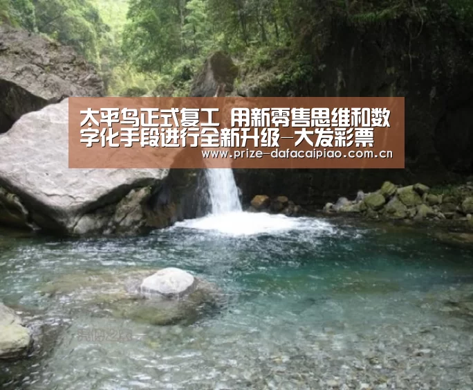 太平鸟正式复工 用新零售思维和数字化手段进行全新升级-大发彩票官方网站(图1) 大发彩票app