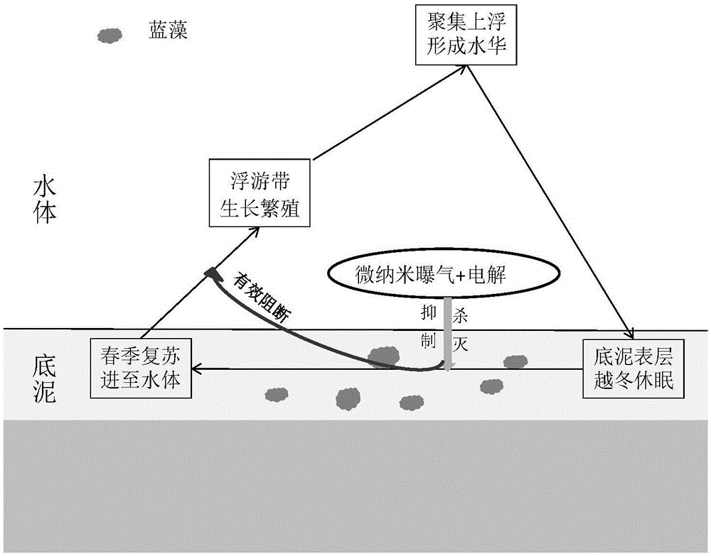 太平鸟正式复工 用新零售思维和数字化手段进行全新升级-大发彩票官方网站(图4) 大发彩票app